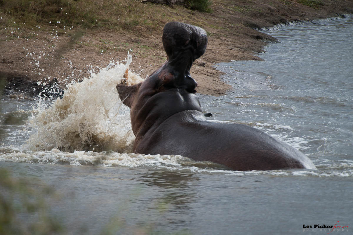 Kruger National Park