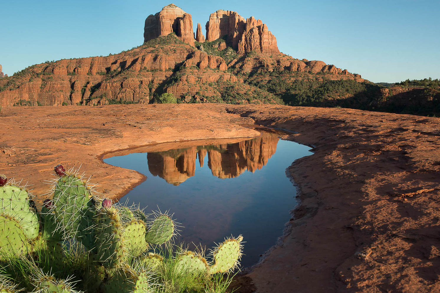 “Sedona Reflections"