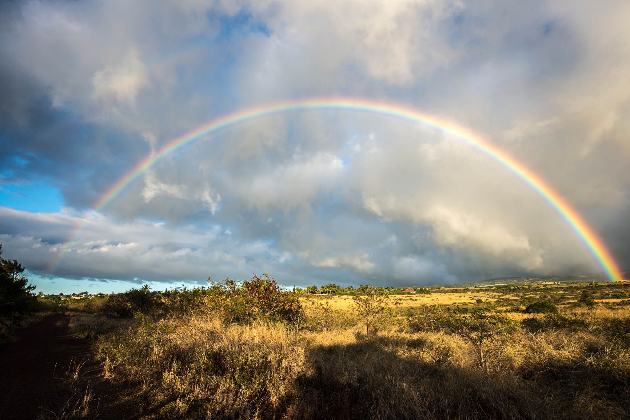 More Maui Rainbows