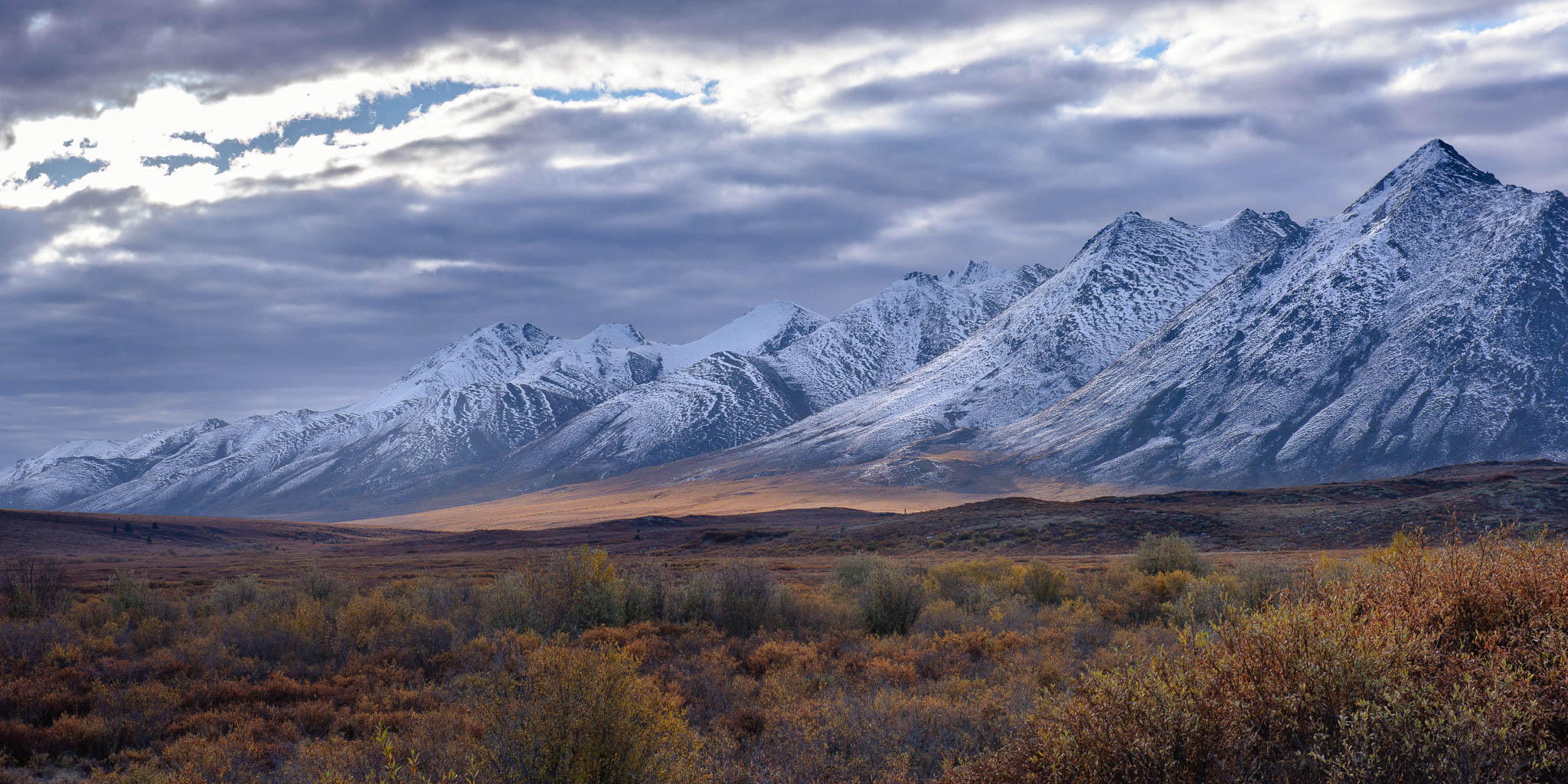 Hunting for Bear and Light