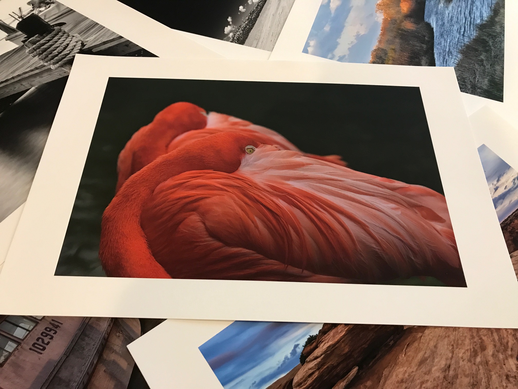 Canon prints on Moab Entrada papers