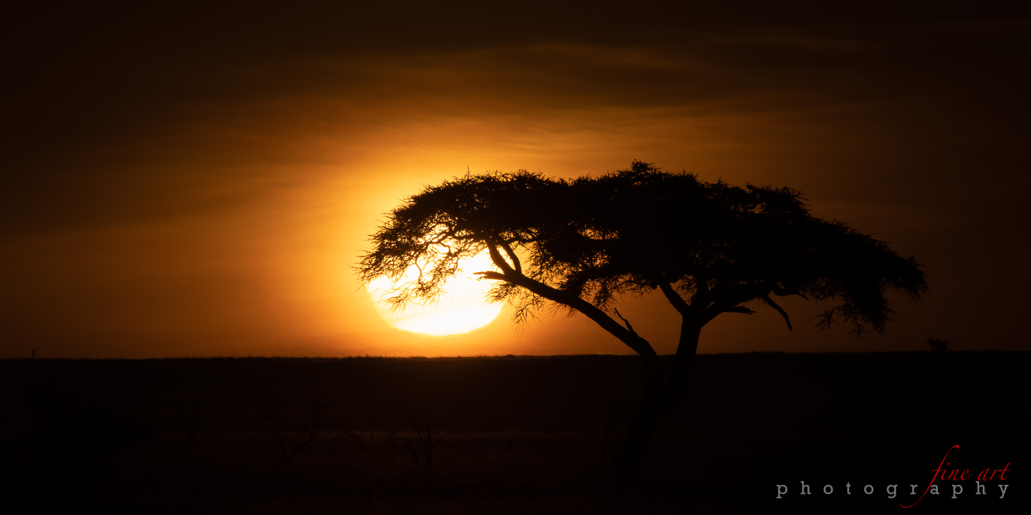 Sunrise, Sunset in the Serengeti