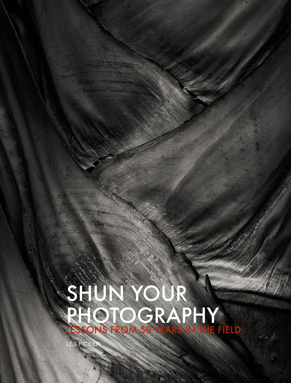 SHUN Your Photography