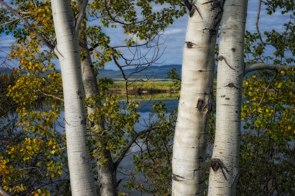 Do Your Homework! Portrait versus Landscape