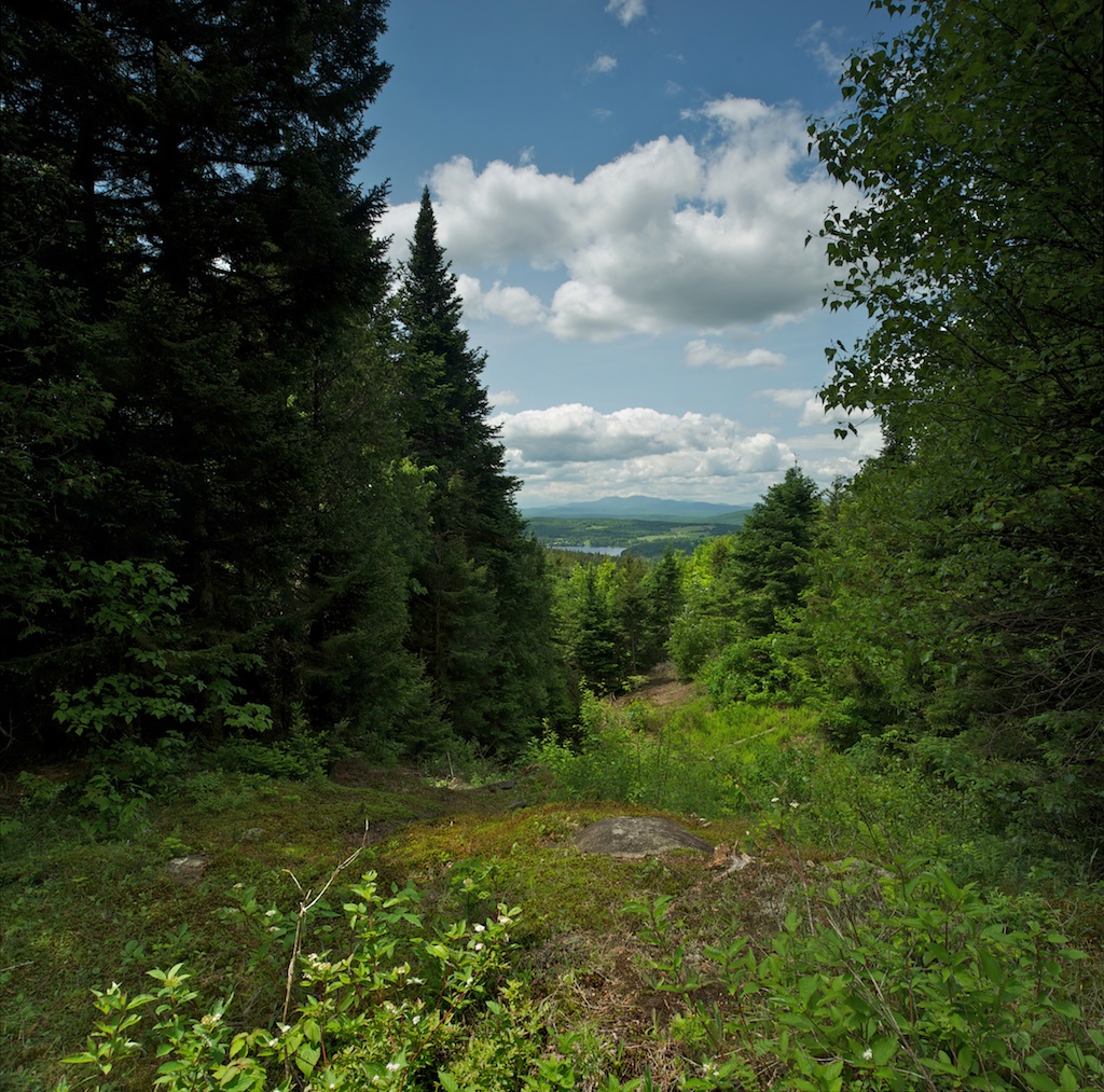 Vermont Jewel