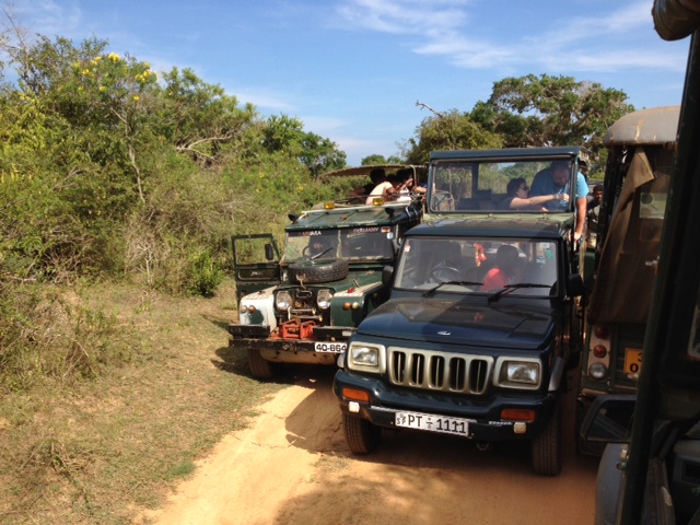 Driving in Sri Lanka... Don't